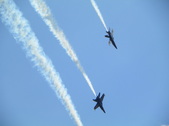 Enlarge photo 42