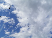 Enlarge photo 47