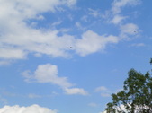 Enlarge photo 48