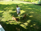 Enlarge photo 3