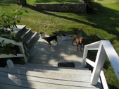 Enlarge photo 4