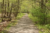 Enlarge photo 35
