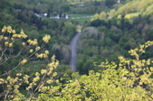 Enlarge photo 37