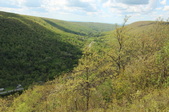 Enlarge photo 44