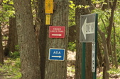 Enlarge photo 46
