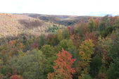 Enlarge photo 29