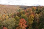 Enlarge photo 30