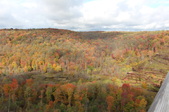 Enlarge photo 33