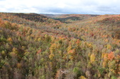 Enlarge photo 34