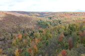 Enlarge photo 35