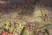 Enlarge photo 37