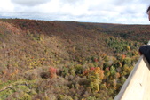Enlarge photo 41