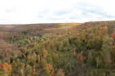 Enlarge photo 42