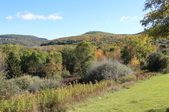 Enlarge photo 43