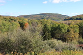 Enlarge photo 44