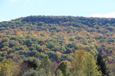 Enlarge photo 45