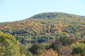 Enlarge photo 46