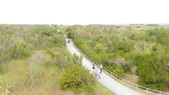 Enlarge photo 34