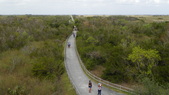 Enlarge photo 35