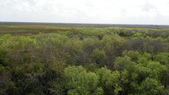Enlarge photo 37