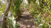 Enlarge photo 45