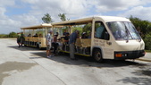 Enlarge photo 46