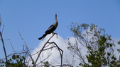 Enlarge photo 47