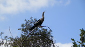 Enlarge photo 48