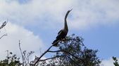 Enlarge photo 49