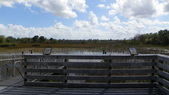 Enlarge photo 55