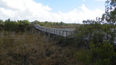 Enlarge photo 59