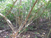 Enlarge photo 64