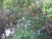 Enlarge photo 66