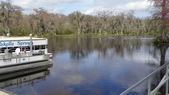 Enlarge photo 76
