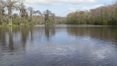 Enlarge photo 78
