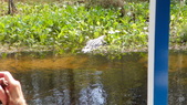 Enlarge photo 86