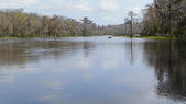 Enlarge photo 87