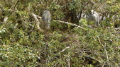 Enlarge photo 88