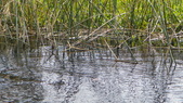Enlarge photo 91