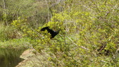 Enlarge photo 92