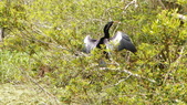 Enlarge photo 94