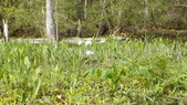 Enlarge photo 95