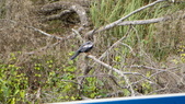 Enlarge photo 99