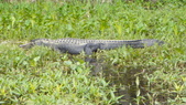 Enlarge photo 102