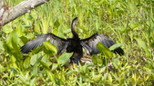 Enlarge photo 104