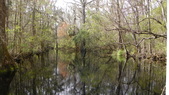 Enlarge photo 110