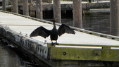 Enlarge photo 112