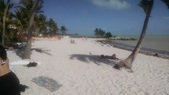 Enlarge photo 132