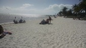 Enlarge photo 134