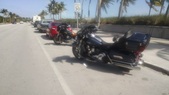 Enlarge photo 133